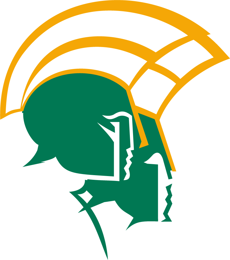 Norfolk State Spartans 1999-Pres Secondary Logo iron on transfers for T-shirts